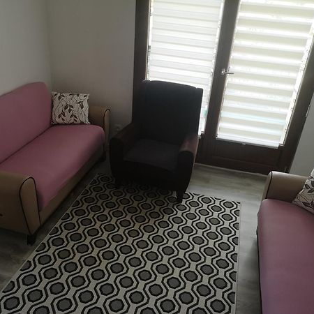 Bel Appartement, Grand Balcon Et Parking Prive Selestat Exterior photo